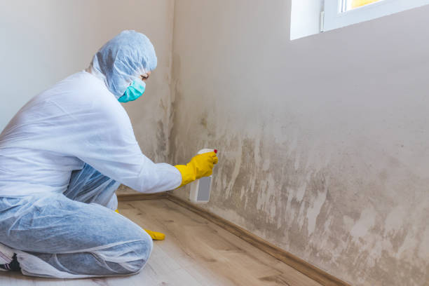 Licensed Commercial Mold Remediation service in Roanoke, VA - 24 Hour Mold Removal