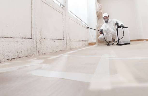 24/7 Emergency Commercial Mold Remediation experts in Roanoke, VA