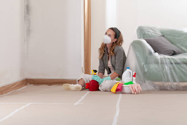Reliable Commercial Mold Remediation contractor in Roanoke, VA by 24 Hour Mold Removal