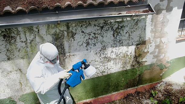 Top rated local Commercial Mold Remediation specialists in Roanoke, VA